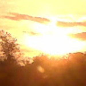 Meet your Posher, Pam